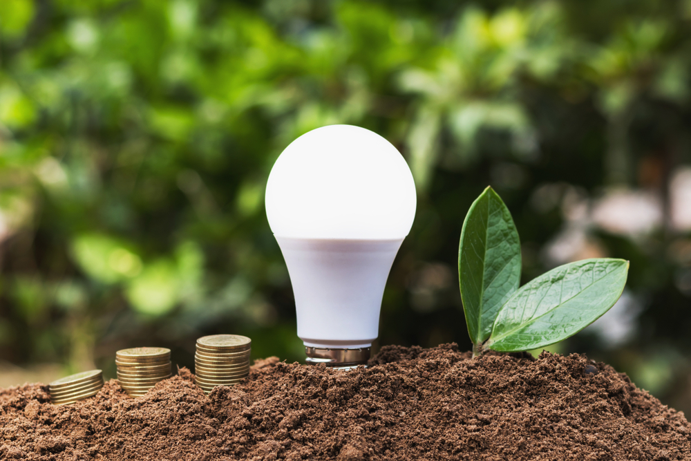 Photo of a light bulb, coins and leaves ontop of a dirt mound to signify you can bury your high electric bill and decrease the overall costs by following the 4 steps here.